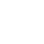 New_Nexus
